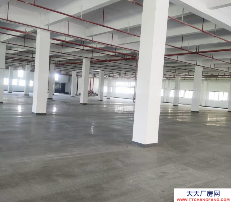 杭州 濱江區工業廠房10000方廠房出售