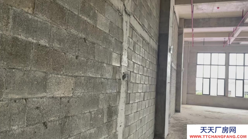 南寧市西鄉(xiāng)塘區(qū)(出租) 科銘大廈全新標準廠房租售，價低，用途廣泛