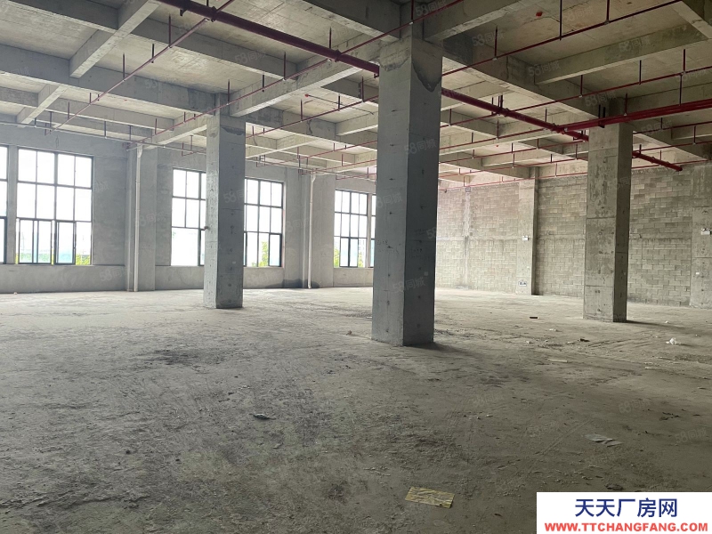 南寧市西鄉塘區(出租) 科銘大廈全新標準廠房租售，價低，用途廣泛