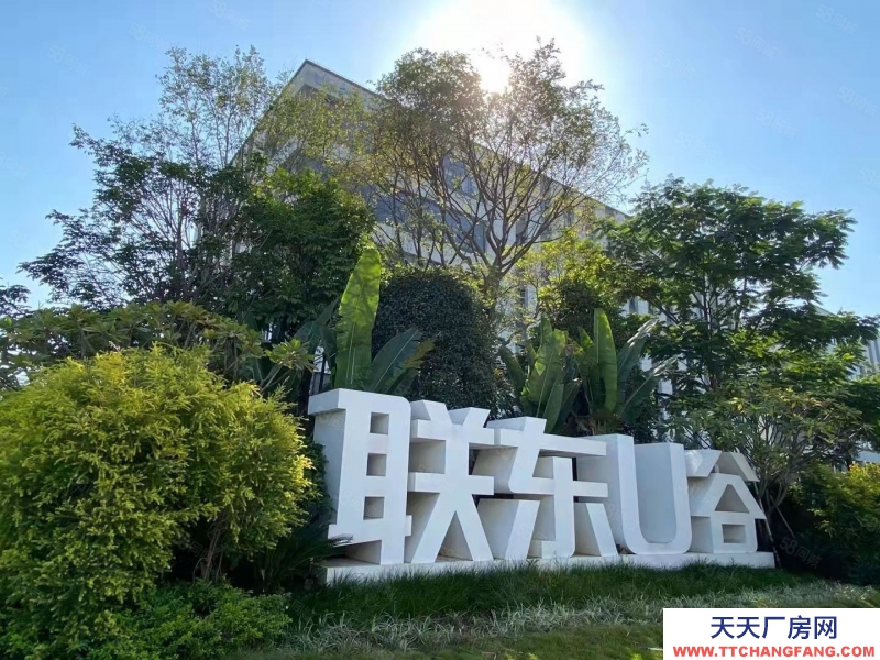 南寧市西鄉塘區(出租) 低至18元出租308平現房那安快速廠房高新區飯堂宿舍配套