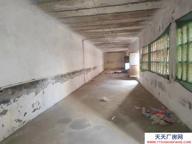 石家莊 正定縣 三角村獨院庫房出租