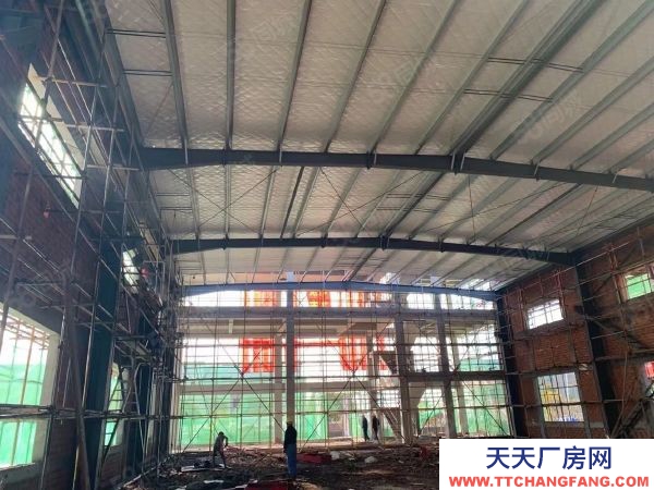 南京市浦口區(qū)單層鋼結(jié)構(gòu)廠房 隧道直通 地鐵在運行 政府扶持 價稅可談