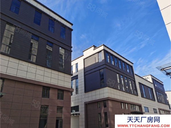 南京市浦口區(qū)稀版 二層半獨棟獨享私人空間 生產(chǎn)辦公研發(fā)一體 現(xiàn)房直招