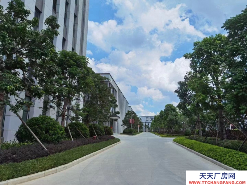 南寧市西鄉(xiāng)塘區(qū)(出租) 北湖路廠房308至2600平,租金低,隨時用