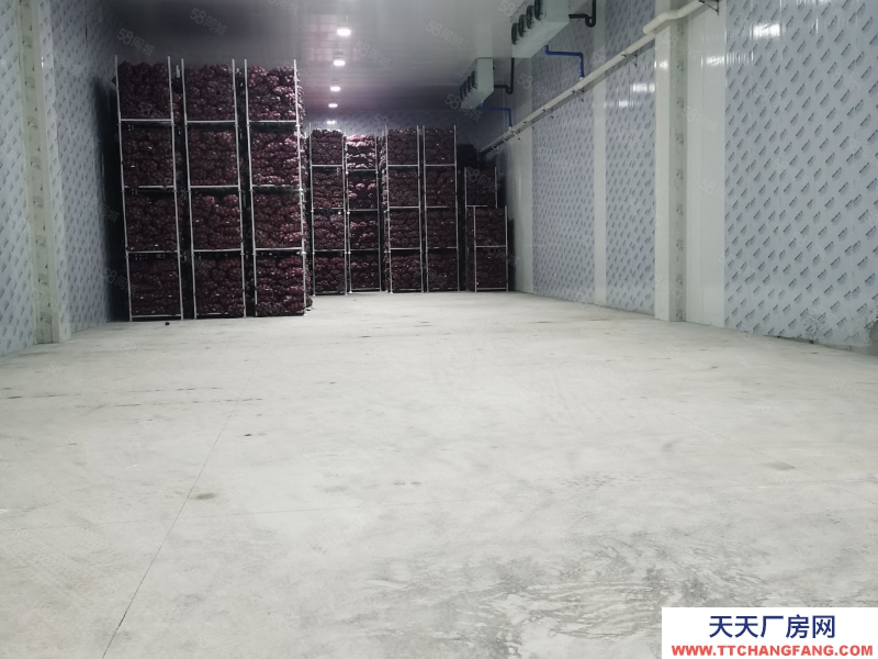 重慶江津雙福農(nóng)貿(mào)城附近凍庫(kù),冷庫(kù),常溫庫(kù)出租可分租(可托管)