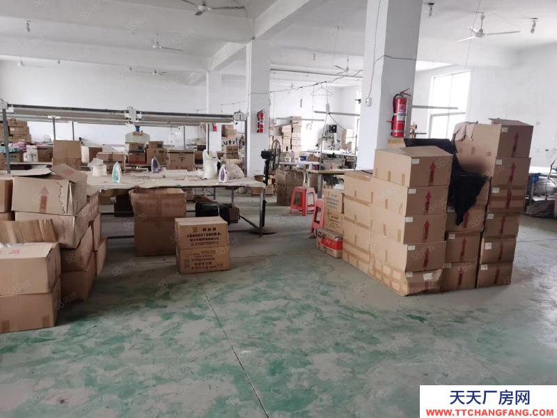 石家莊 欒城區(qū) 紹家莊村東 廠房庫房出租