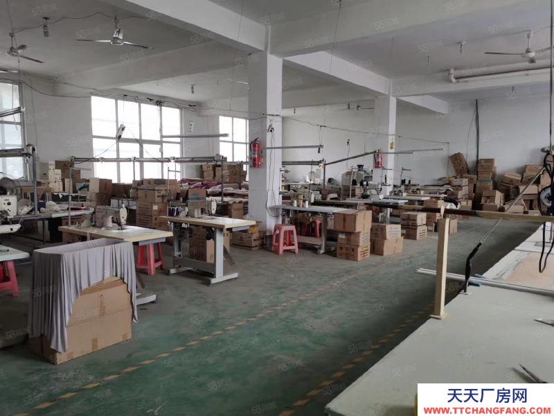 石家莊 欒城區(qū) 紹家莊村東 廠房庫房出租