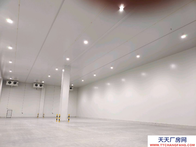 重慶江津大型冷庫招租二氧化碳制冷凈高10.5米