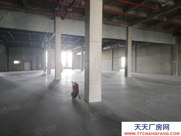 南京市棲霞龍?zhí)丢氶T獨院全新廠房35000平可分組交通方便