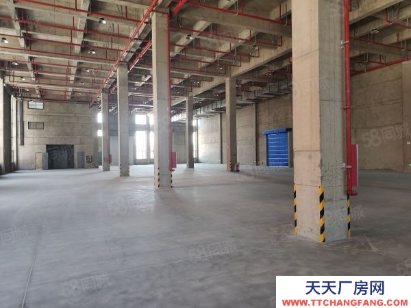 南京市棲霞龍潭獨門獨院全新廠房35000平可分組交通方便