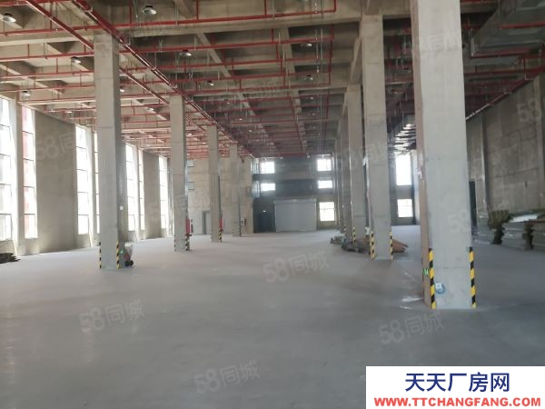 南京市棲霞龍潭獨門獨院全新廠房35000平可分組交通方便