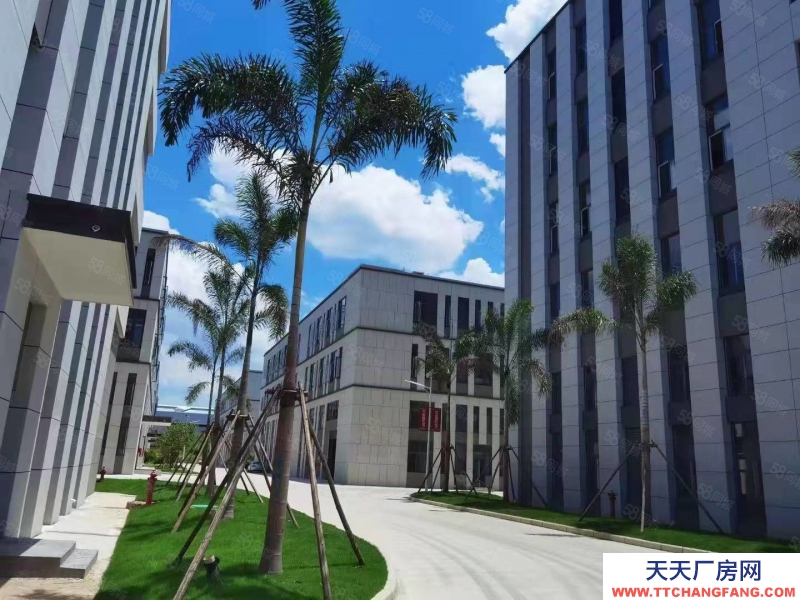 南寧市西鄉塘區(出租) 安吉臨街獨棟廠房出租,可做無塵潔凈車間,配套餐廳,交通便利