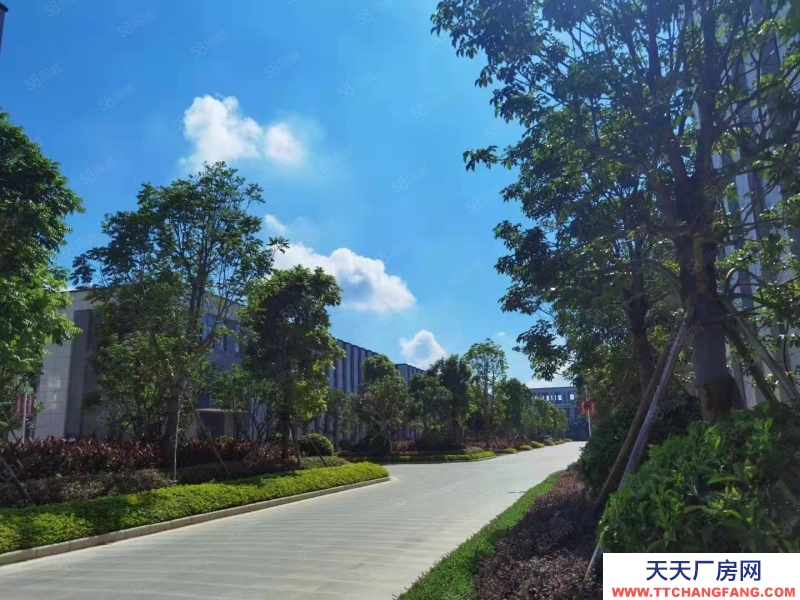 南寧市西鄉塘區(出租) 安吉臨街獨棟廠房出租,可做無塵潔凈車間,配套餐廳,交通便利