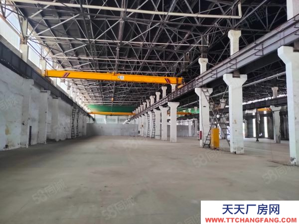 南京市棲霞新港12000平獨門獨院。全單層鋼架結(jié)構(gòu)有航車