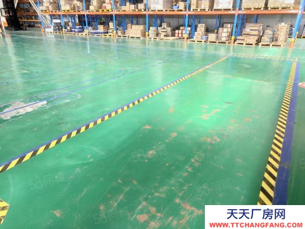 南京市棲霞新港12000平獨門獨院。全單層鋼架結構有航車