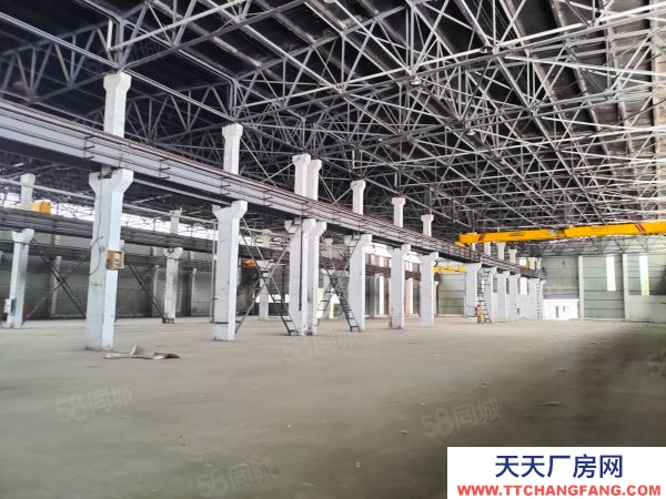 南京市棲霞新港12000平獨門獨院。全單層鋼架結構有航車