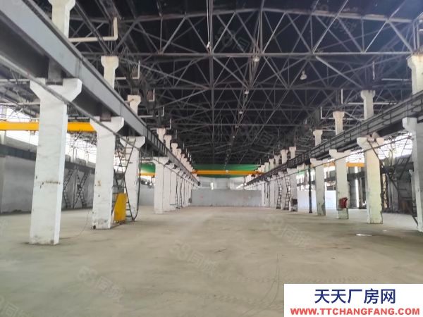 南京市棲霞新港12000平獨門獨院。全單層鋼架結構有航車