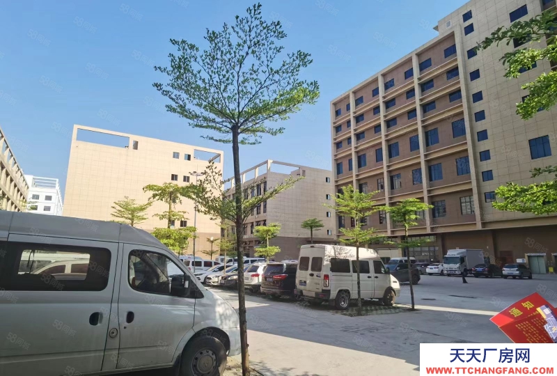 南寧市西鄉塘區(出租) 優惠房源出租，10塊一平，標準廠房，3年沒有遞增