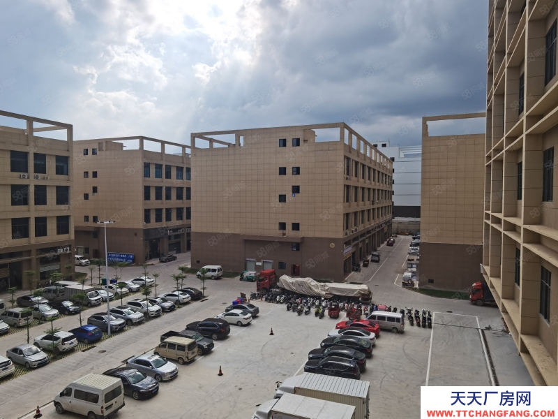 南寧市西鄉(xiāng)塘區(qū)(出租) 標(biāo)準(zhǔn)廠房租售同步，層高56米，面積300起，行業(yè)不限！