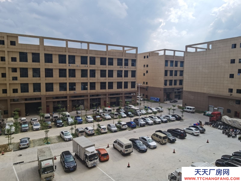 南寧市西鄉(xiāng)塘區(qū)(出租) 標準廠房租售同步，層高56米，面積300起，行業(yè)不限！