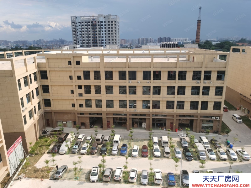 南寧市西鄉(xiāng)塘區(qū)(出租) 標(biāo)準(zhǔn)廠房租售同步，層高56米，面積300起，行業(yè)不限！