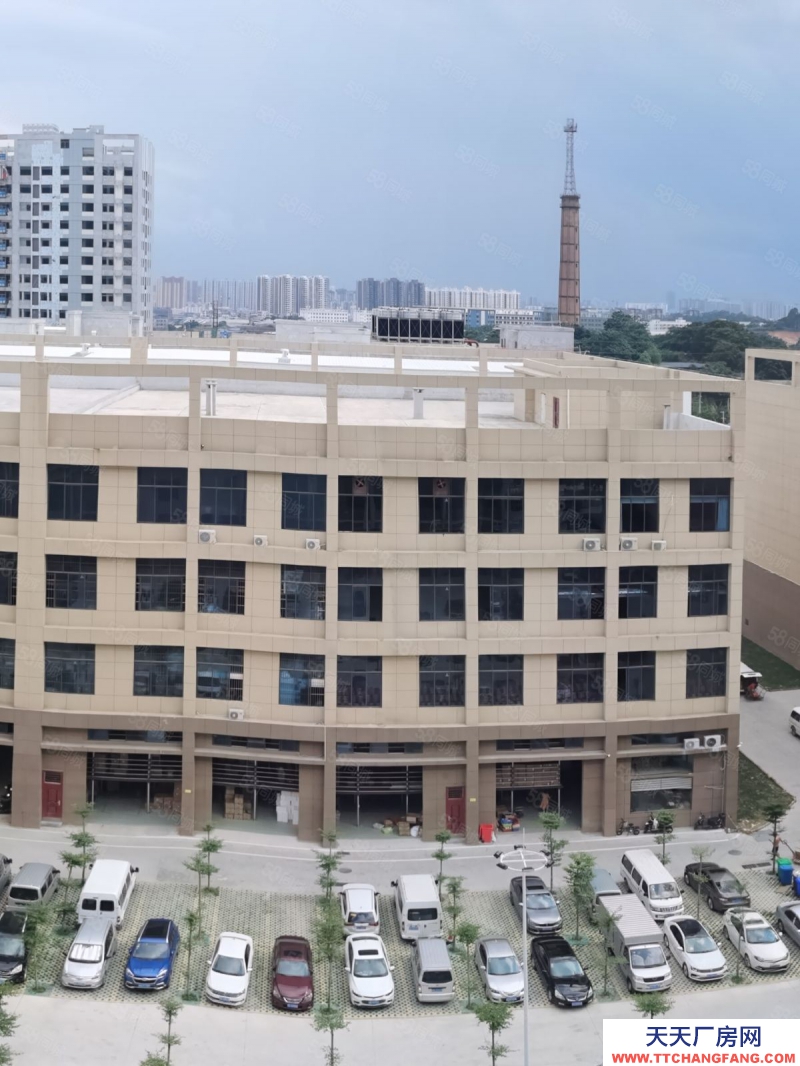 南寧市西鄉(xiāng)塘區(qū)(出租) 標(biāo)準(zhǔn)廠房租售同步，層高56米，面積300起，行業(yè)不限！