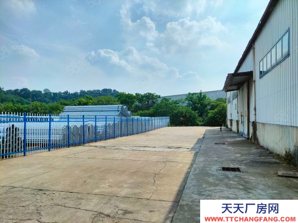 南京市棲霞新港大道400平單層。適合大車進出,固話地坪。