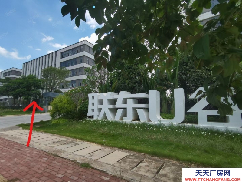 南寧市西鄉(xiāng)塘區(qū)(出租) 低至18元現(xiàn)房直租高新300平可分租面積靈活租約方便停車