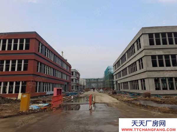 南京市棲霞區低價售 滁州汊河 50年工業廠房 2750平 單層10米高