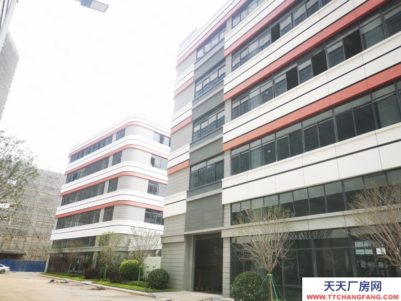 (出租) 福州臺江全新可分割 1千到1萬方廠房 開發商直租 馬尾精裝修廠房