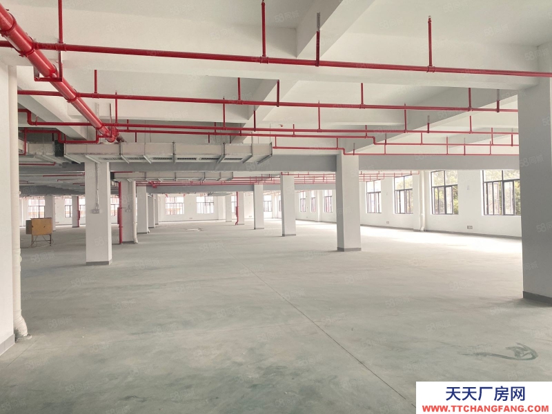 (出租) 福州臺江五萬平方標準廣房出租