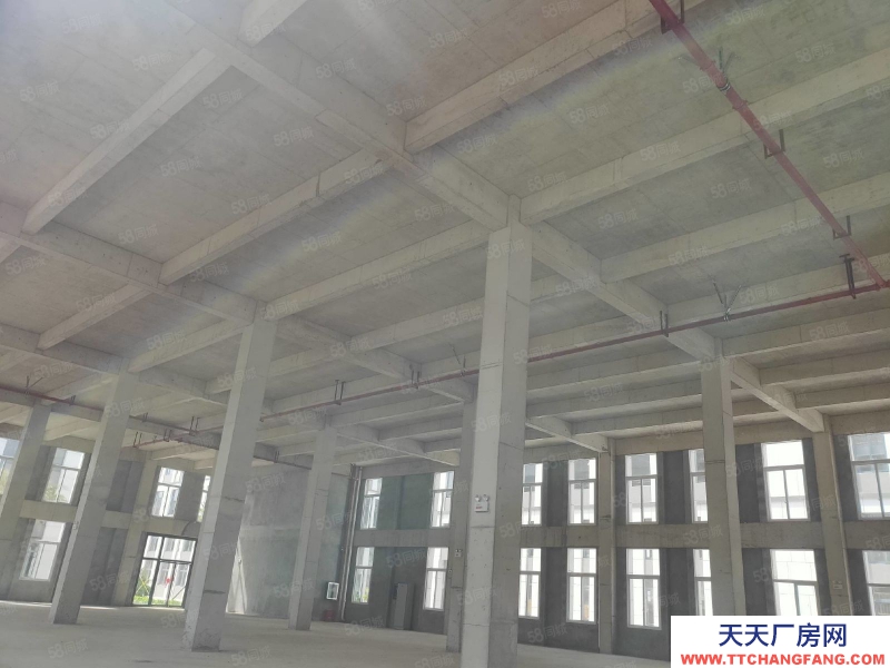 南寧市西鄉(xiāng)塘區(qū)(出租) 北湖園藝場(chǎng)，新出廠房出租，標(biāo)準(zhǔn)廠房，1300平起