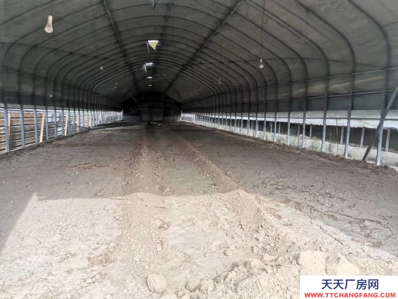 石家莊 欒城區 新趙線 南高鄉 1000平 廠房出租