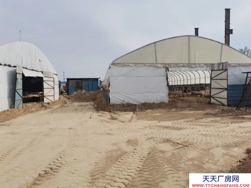 石家莊 欒城區 新趙線 南高鄉 1000平 廠房出租