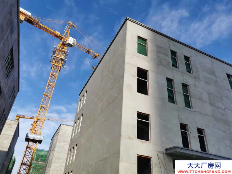 石家莊 欒城 南三環(huán)新晉品質(zhì)研發(fā)生產(chǎn)廠房