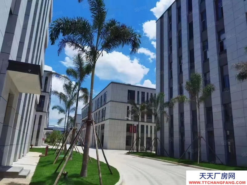 濟南天橋單層框架廠房！500平！手續(xù)齊全可辦證！