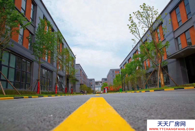 石家莊 欒城 南三環(huán)1450平獨(dú)棟廠房贈送超大露臺