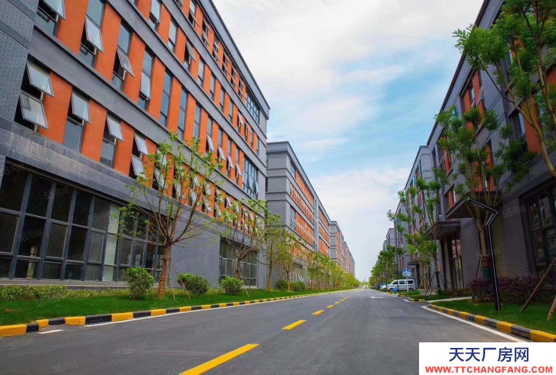 石家莊 欒城 南三環(huán)1450平獨(dú)棟廠房贈送超大露臺