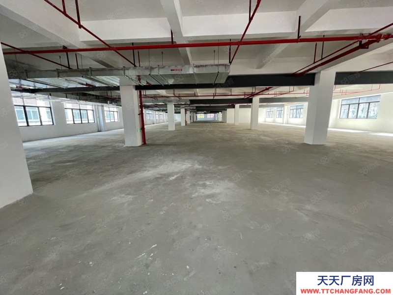 (出租) 黃埔區4S店，新能源場地5000平招租，證件齊全可鈑噴