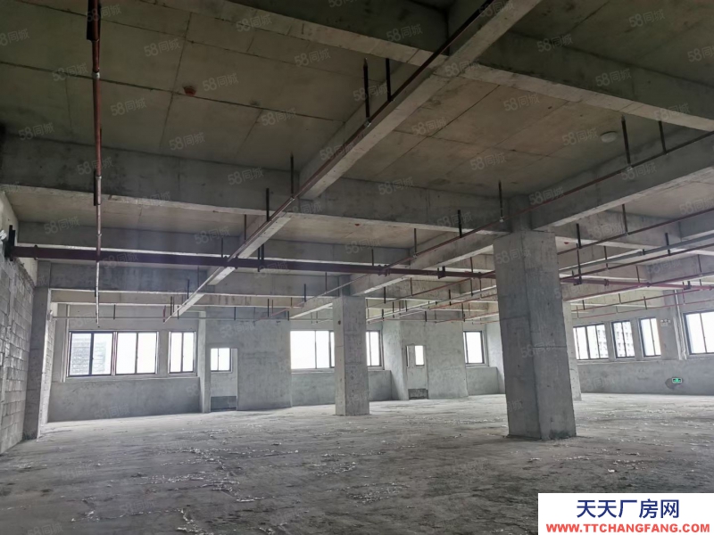 南寧市西鄉塘區(出租) 標準廠房出租10一平起，還剩部分房源。