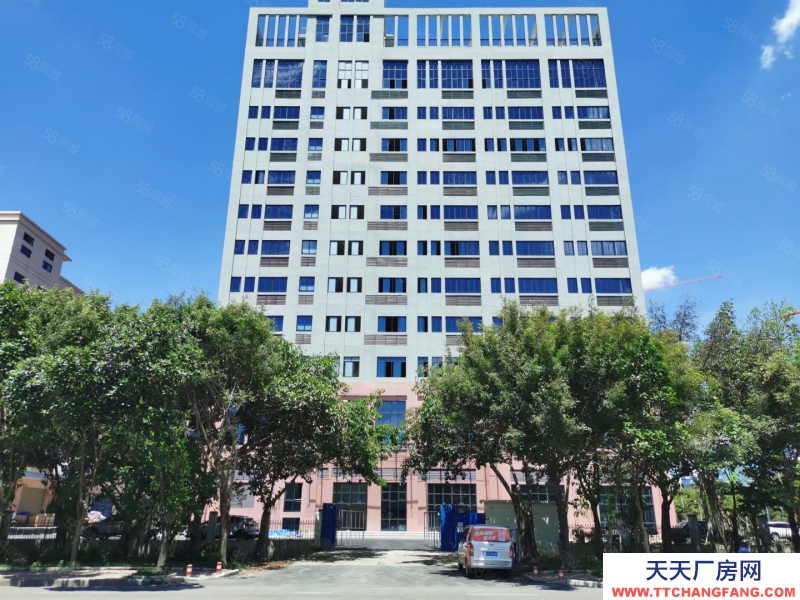 南寧市西鄉塘區(出租) 標準廠房出租10一平起，還剩部分房源。