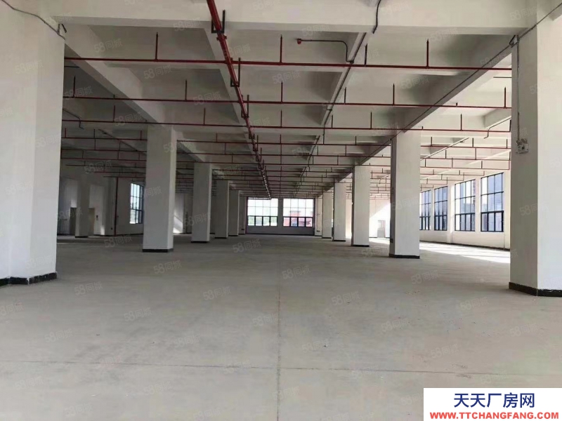 (出租) 無公攤原房東 黃埔區開創大道附近8000平獨棟高薪園區出租