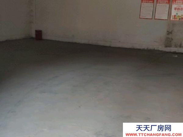 南京市鼓樓區雙層，需自行隔斷，門市倉庫一體，有院子