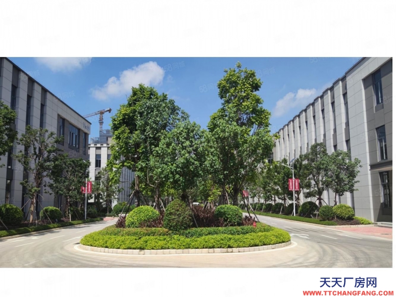 南寧市西鄉(xiāng)塘區(qū)(出租) 北湖路全新廠房出租，適合辦公生產(chǎn)加工倉(cāng)儲(chǔ)，價(jià)格美麗，隨時(shí)用