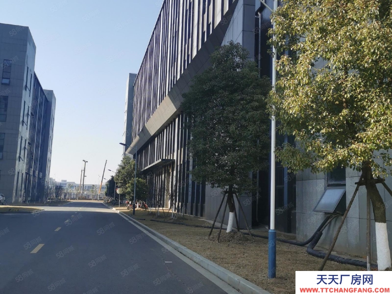 (出租)南昌紅谷灘新區機械醫療產業 招引高稅收項目