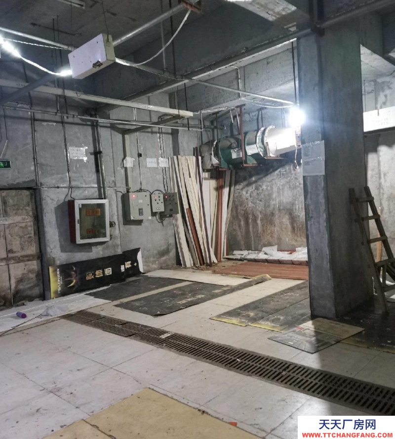 (出租) 南昌紅谷灘新區(qū)下室倉庫出租