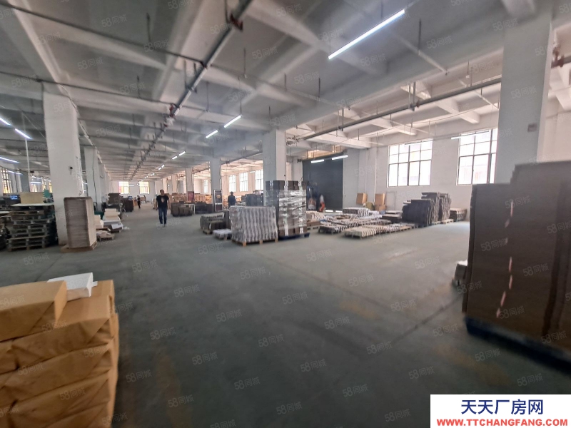 (出租) 南昌青山湖區(qū)廣州路標(biāo)準(zhǔn)廠房一樓出租