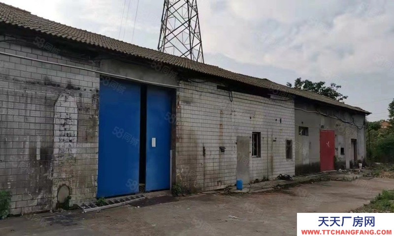 (出租) 南昌東湖區(qū)揚(yáng)子洲揚(yáng)農(nóng)路獨(dú)院廠房500平出租