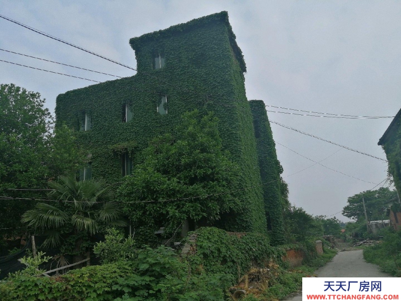 (出租) 南昌東湖區(qū)獨(dú)棟民房,可做倉庫或小型加工價(jià)格實(shí)惠。