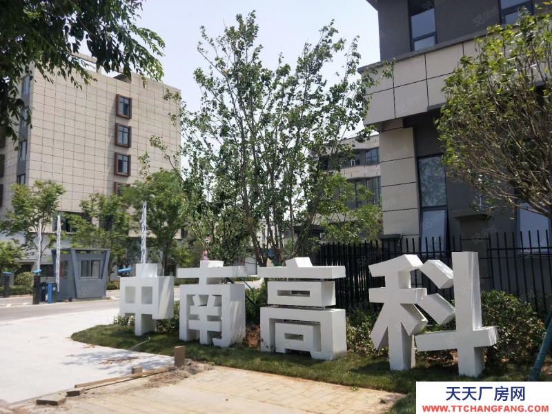 (出售) 企業(yè)獨棟 研發(fā)辦公 贈送超大露臺 50年產(chǎn)權(quán) 機場南國道邊